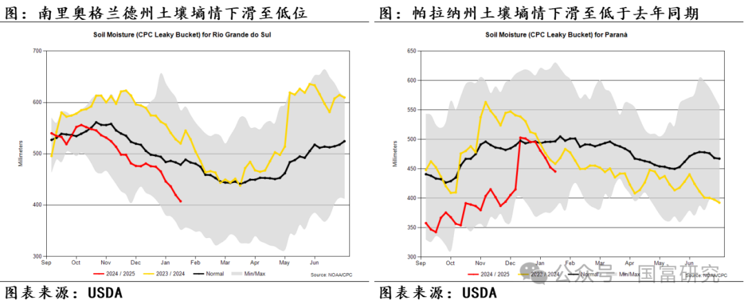 【USDA】1月报告：美豆单产下调超预期，南美大豆丰产压制美豆价格上行