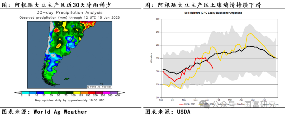 【USDA】1月报告：美豆单产下调超预期，南美大豆丰产压制美豆价格上行