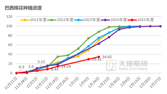 棉花：加关税威胁仍在，关注春节期间外盘对内盘指引